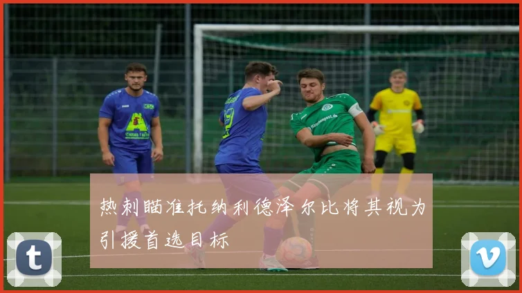 热刺瞄准托纳利德泽尔比将其视为引援首选目标
