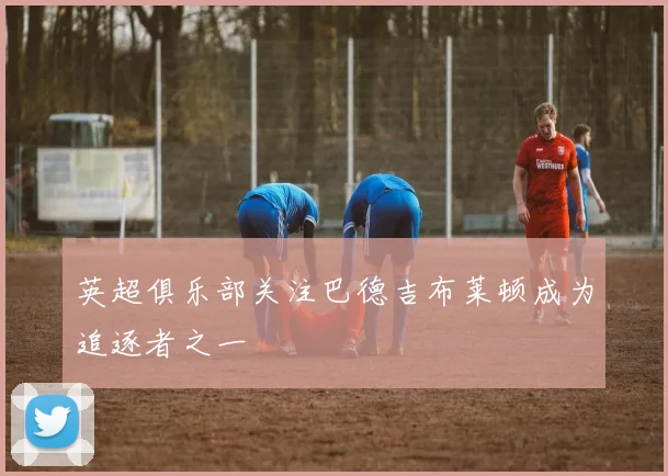 英超俱乐部关注巴德吉布莱顿成为追逐者之一