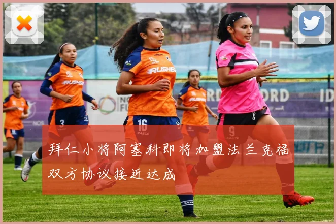 拜仁小将阿塞科即将加盟法兰克福双方协议接近达成